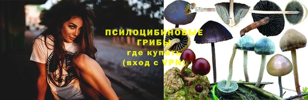 гашик Грязовец