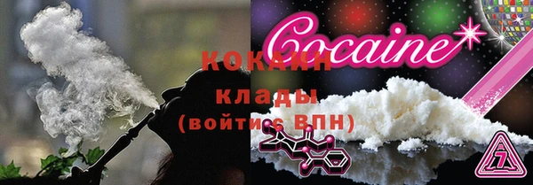 спиды Губаха