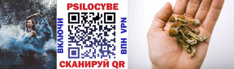 Псилоцибиновые грибы ЛСД  Полярные Зори 